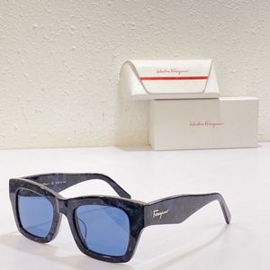Salvatore Ferragamo Sunglasses 204